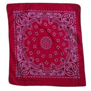 Vintage Hav-A-Hank Red Paisley Handkerchief